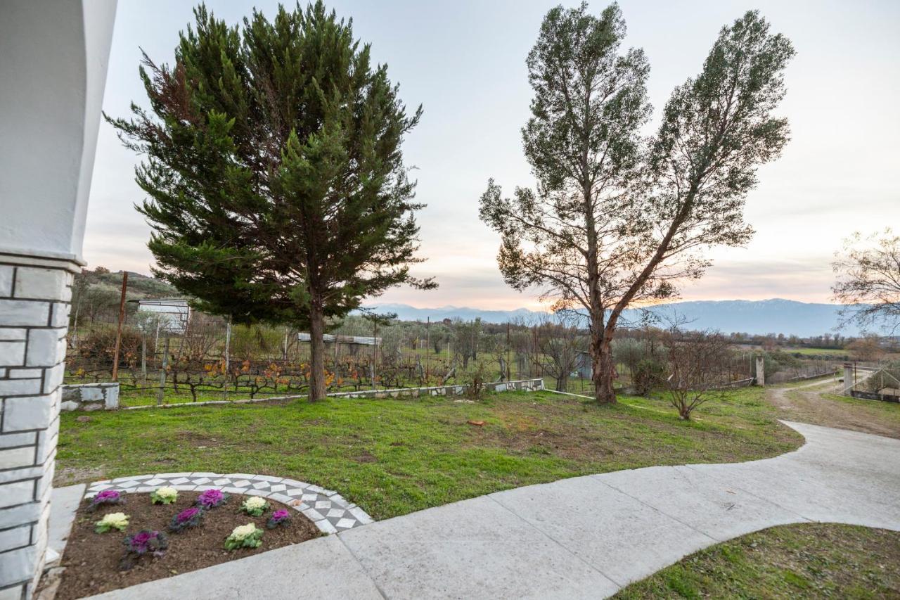 Τrικαλα - Μετεorα-Villa Toscana Tríkala Zewnętrze zdjęcie